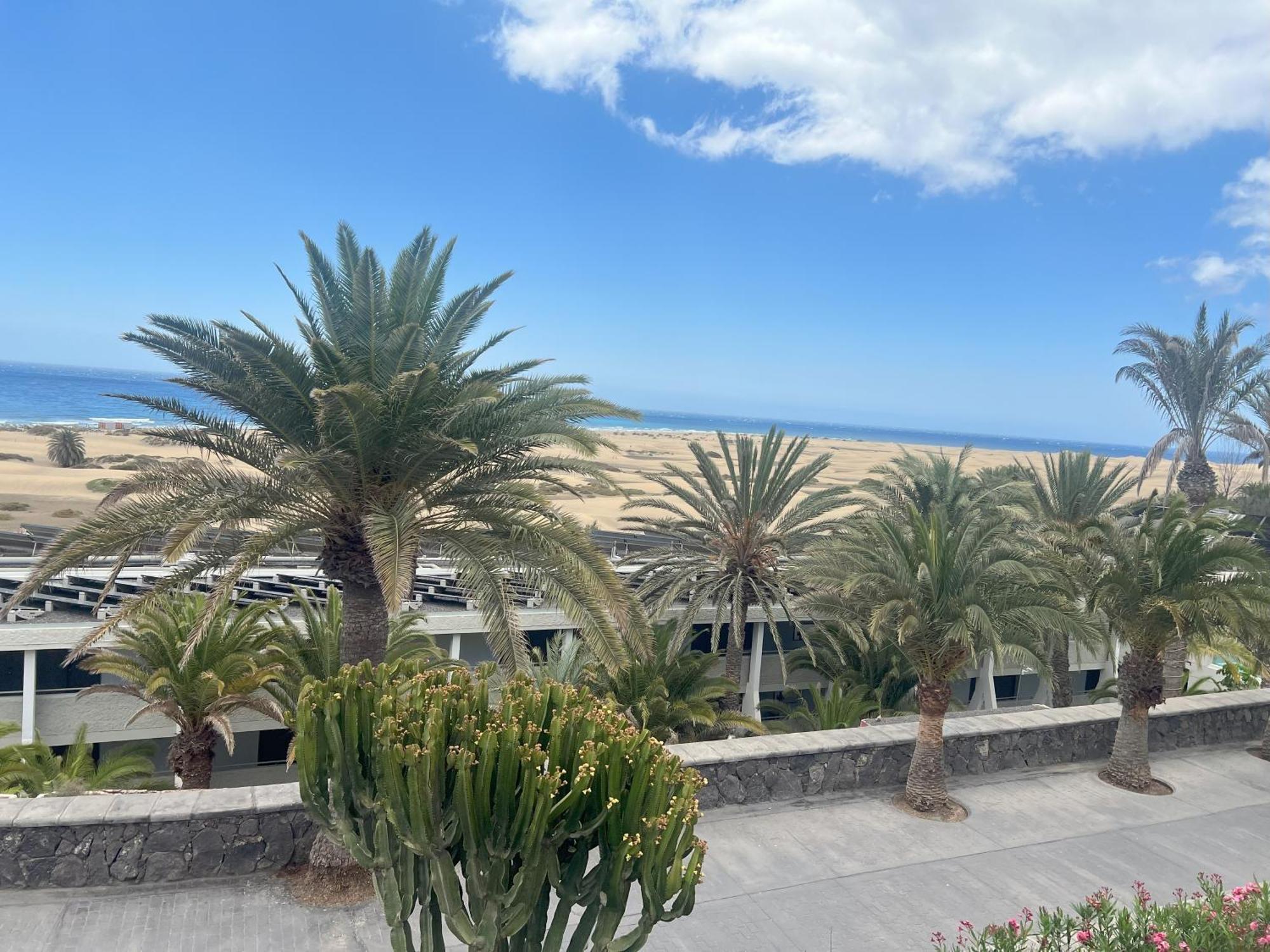 Apartment Hotel Taboga (Adults Only) 普拉亚戴尔雷安格莱斯 外观 照片
